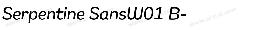 Serpentine SansW01 B字体转换